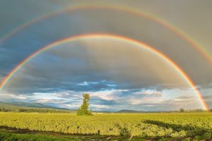 Hack Your Daily Practice