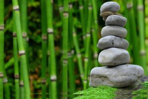 Cultivate Your Energy